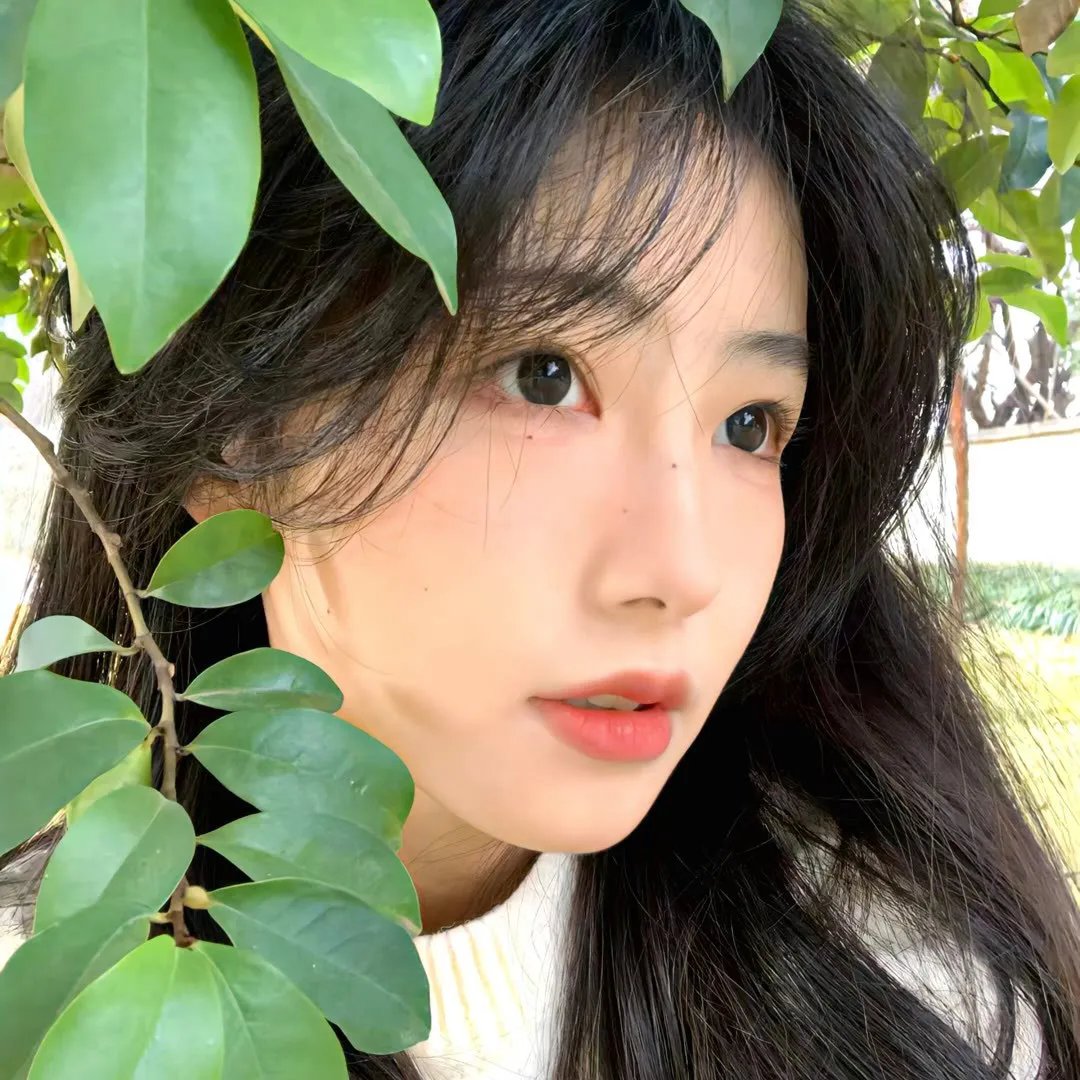 苍之彼方的四重奏