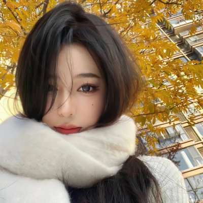 熊出没之神奇宝物